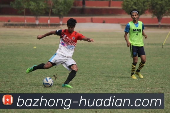 开云综合app官网登录发展历程